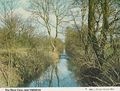 Thumbnail for version as of 17:43, 29 January 2021