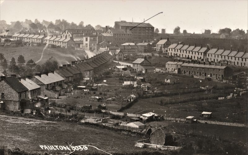 File:Back Gardens Victoria Terrace.jpg