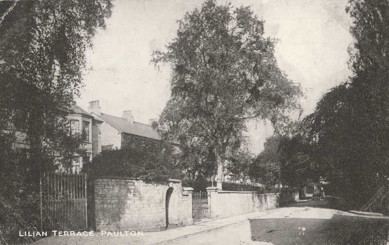 File:Lillian Terrace.jpg